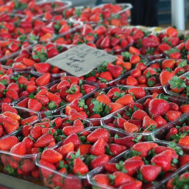 Instagram #tourismetarnetgaronne