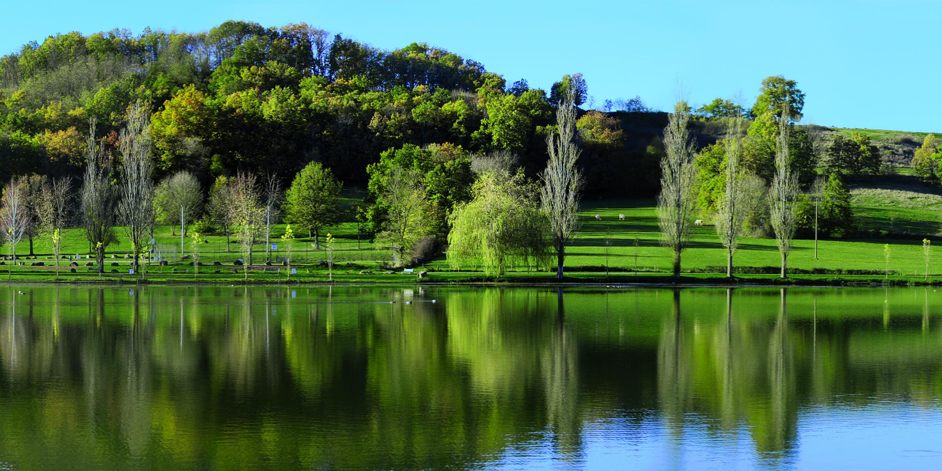 Lac de Parisot, une pause nature loin des foules Site Officiel du
