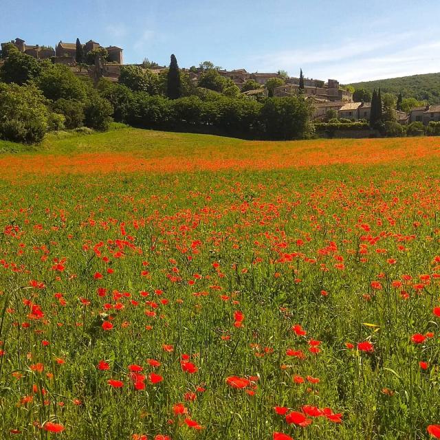 Instagram #tourismetarnetgaronne