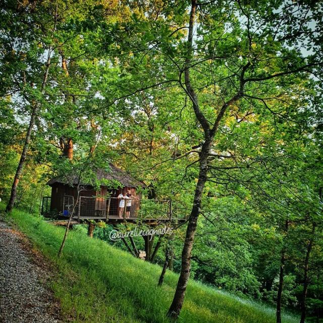 Instagram #igerstarnetgaronne
