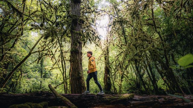 Balades Et Randonnées pédestres en Tarn Et Garonne 82