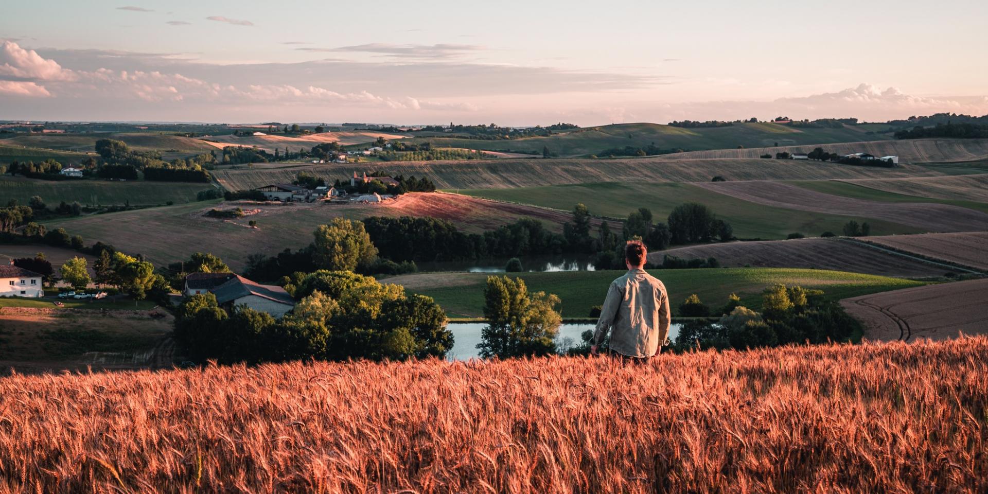 Paysage de la Lomagne tarn et garonnaise