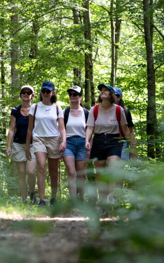 Laguepie04 82 2024anderandera Production