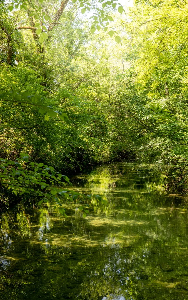 Adt82 05070 Cayriech Olivier Rosec