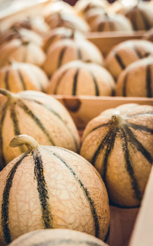 Adt82 05280 Melon Jeremy Fissore