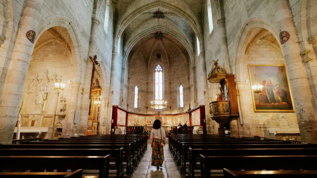 Adt82 06225 Montpezat Collegiale Olivier Rosec